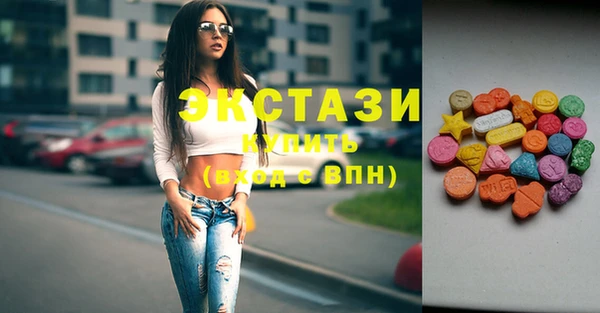 мдпв Бородино