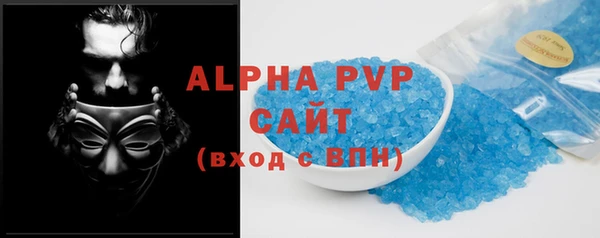мдпв Бородино