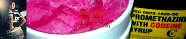 мдпв Бородино