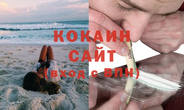 мдпв Бородино