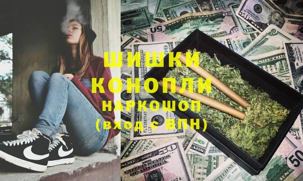мдпв Бородино