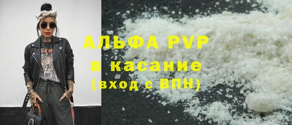мдпв Бородино