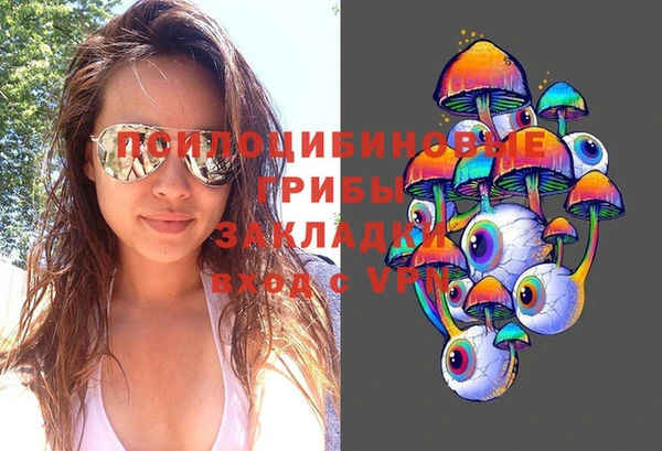 мдпв Бородино
